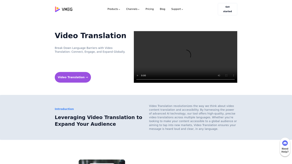 Video Translation: Connect Globally Across Languages – VMEG